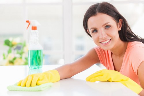 Professional oven cleaning service for homes and flats in W6