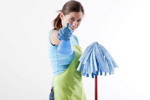 Professional window cleaning service for homes and businesses in W6