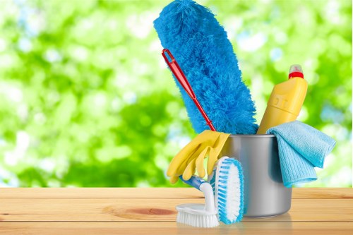 Deep rug cleaning for busy homes and flats in W6