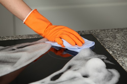 Steam carpet cleaning equipment refreshing a carpet in a W6 home
