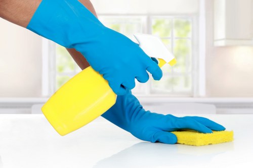 Local technician treating a tough stain in a W6 property