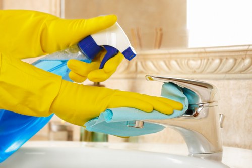 Freshly cleaned oven and kitchen appliance service in W6