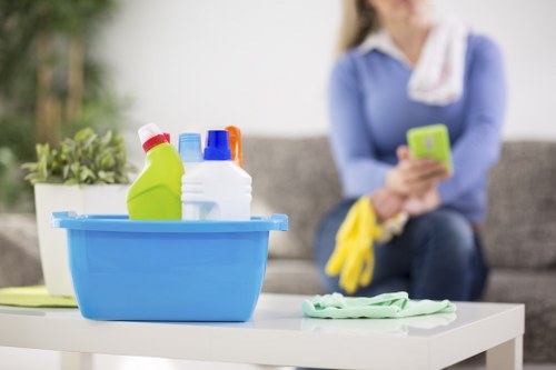Regular domestic cleaning visit for a family property in W6