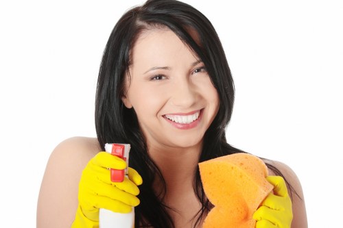 Deep cleaning a bathroom in a W6 property